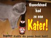 jupiler.jpg