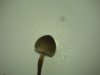 DSC03626.JPG