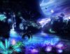 When_the_Night_is_Falling_by_Lairis77.jpg