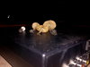20191114_005504.jpg