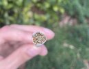 IMG_5625.jpeg
