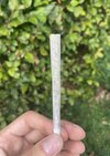 IMG_5624.jpeg