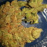 ilovehasjandweed