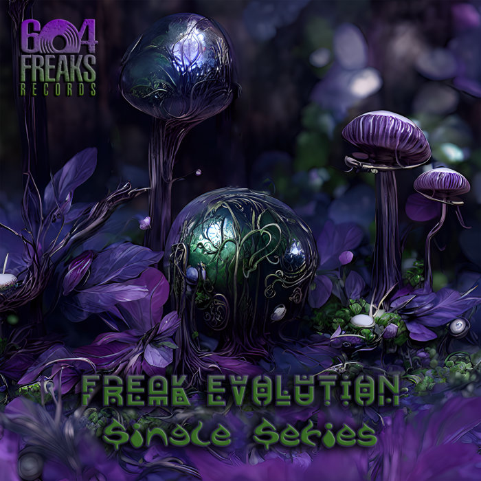 604freaksrecords.bandcamp.com